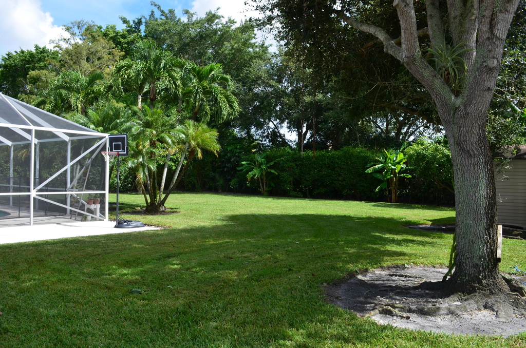 9242 Olmstead Drive - Photo 30