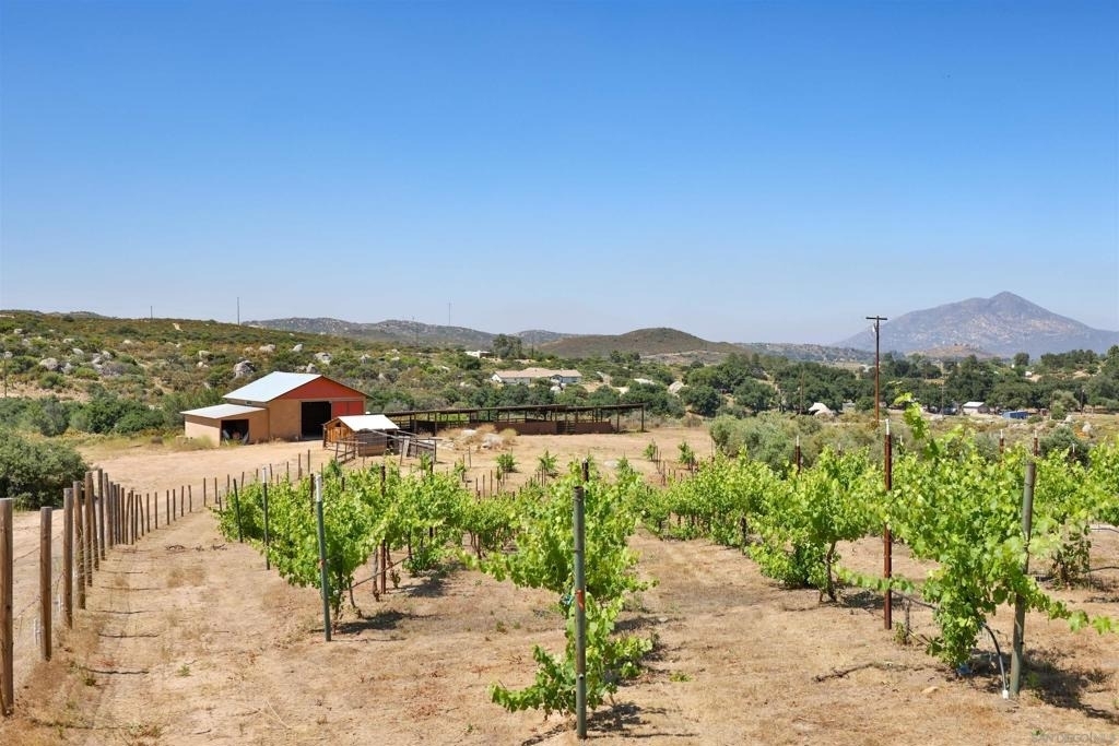 25933 Potrero Valley Rd - Photo 10