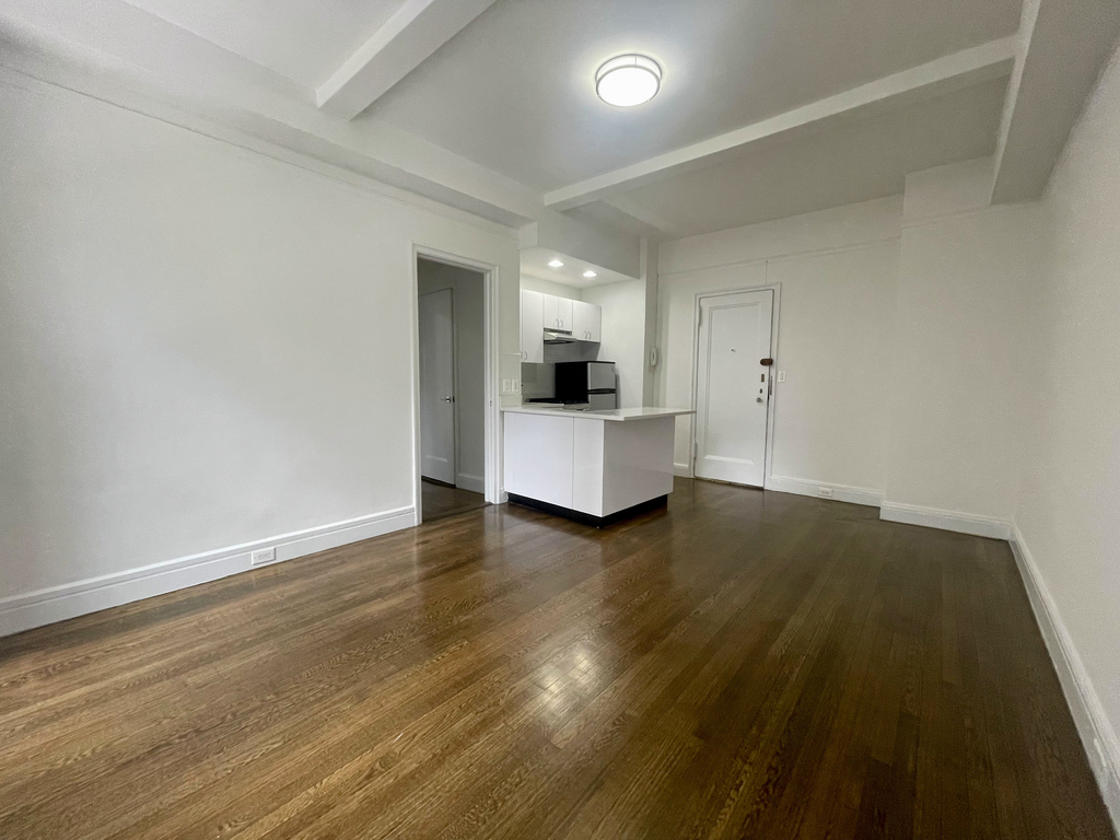 East 46th Street - Photo 2