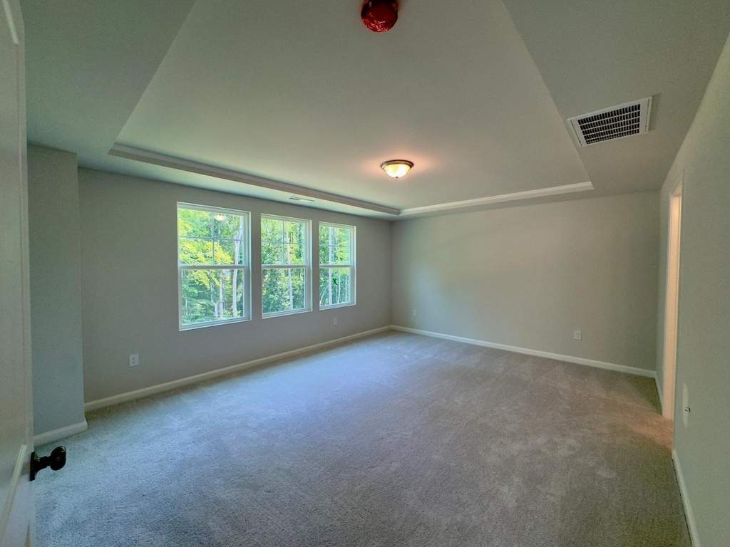 319 Aster Bloom Lane - Photo 8