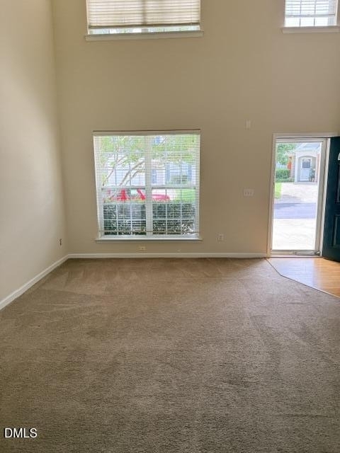 204 Caraleigh Court - Photo 21