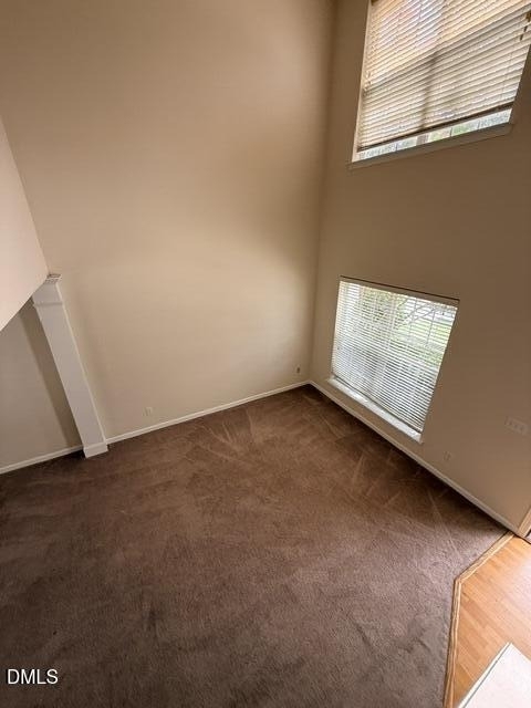 204 Caraleigh Court - Photo 32