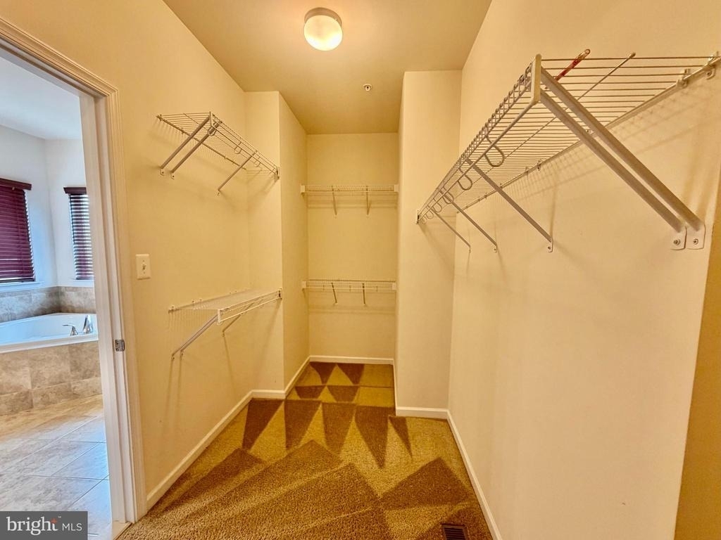 43699 Sweetbay Street - Photo 15