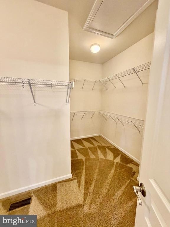 43699 Sweetbay Street - Photo 16