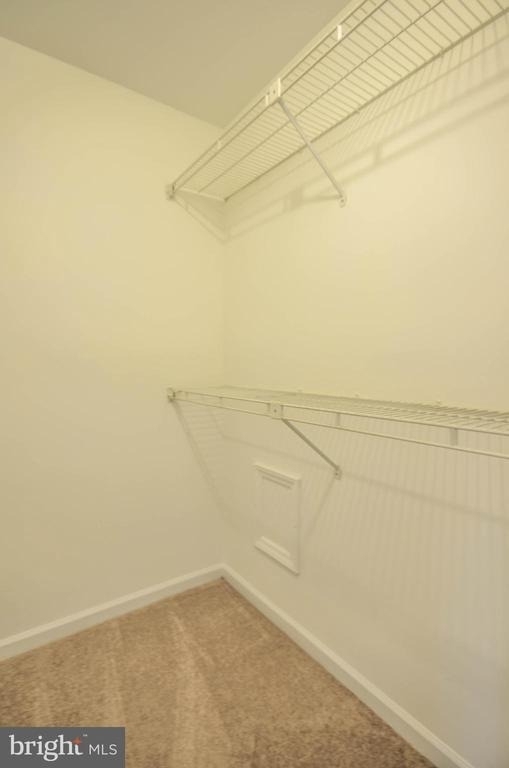 10715 Hampton Mill Terrace - Photo 17