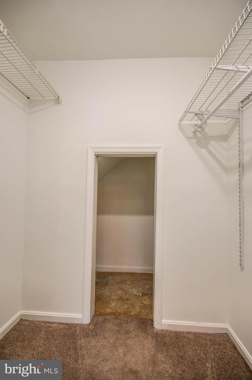 10715 Hampton Mill Terrace - Photo 14