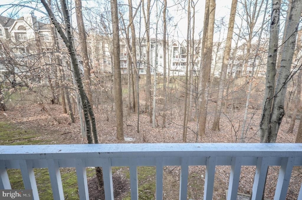 10715 Hampton Mill Terrace - Photo 21