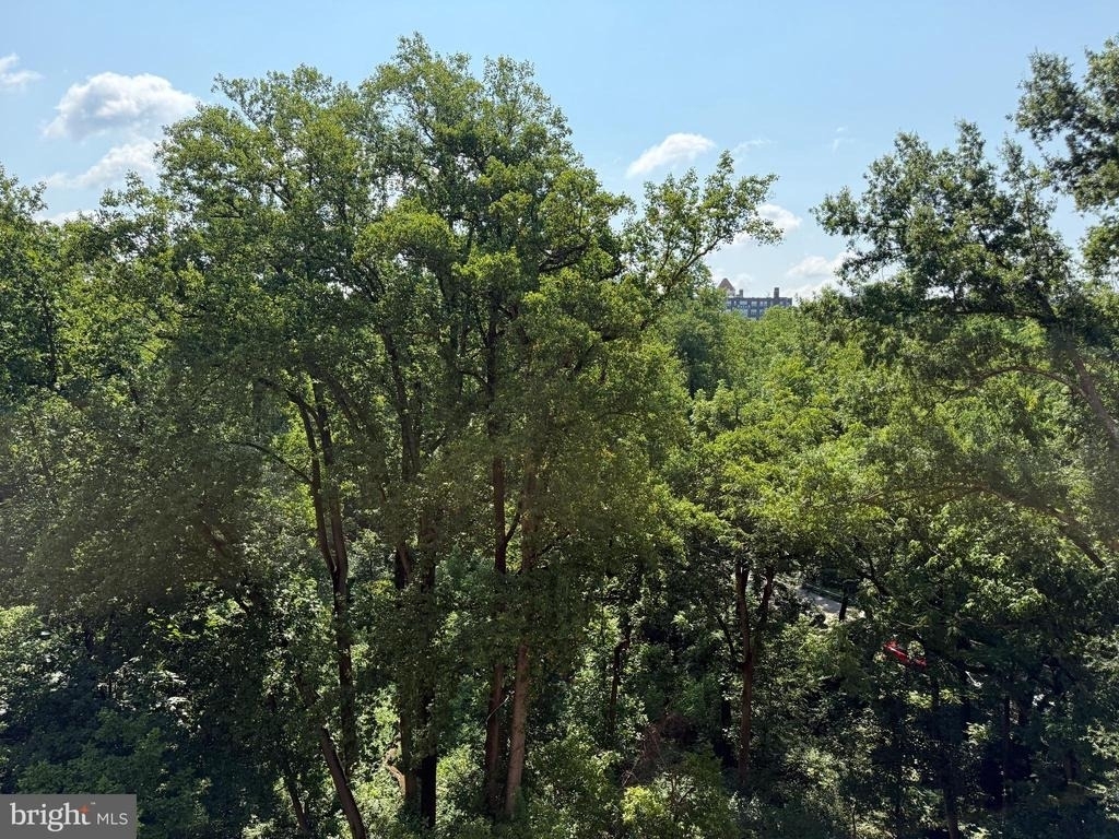 4201 Cathedral Avenue Nw - Photo 36