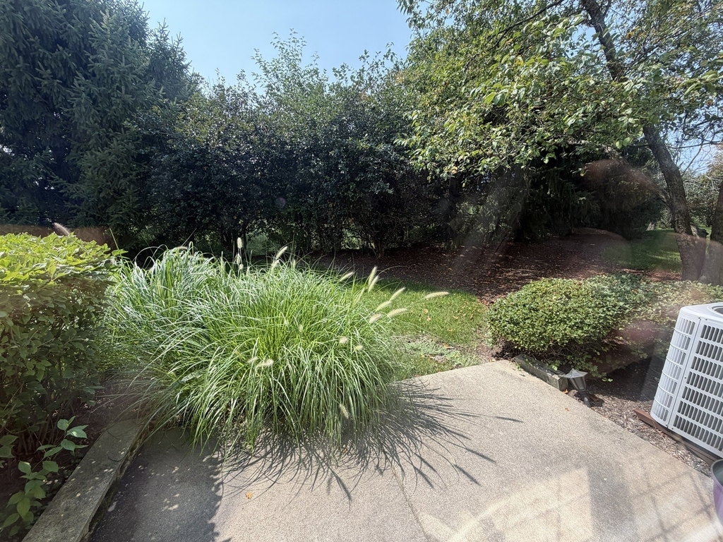 1995 Golden Gate Lane - Photo 29