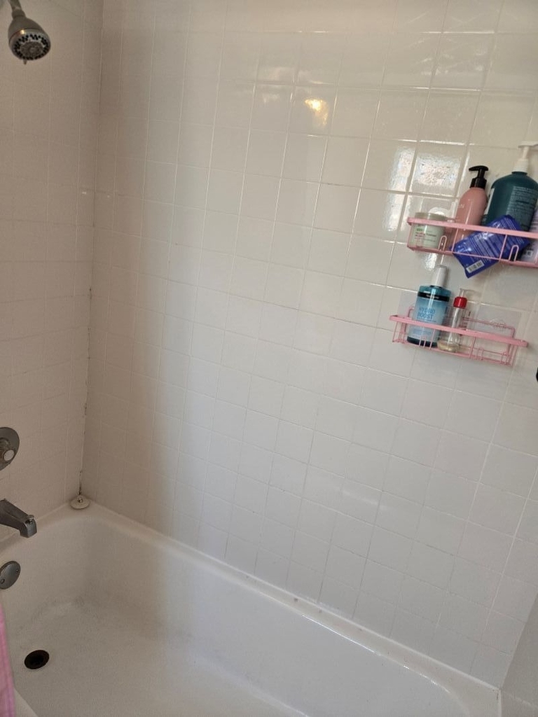 8758 W Berwyn Avenue - Photo 6