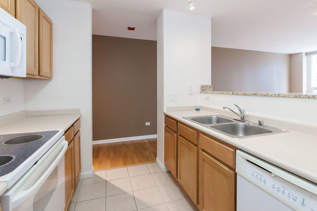 345 N Lasalle Drive - Photo 4