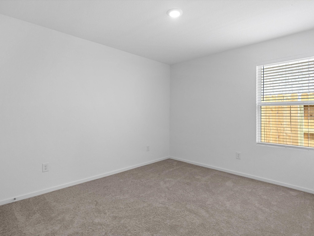 28727 Texas Plains Drive - Photo 13