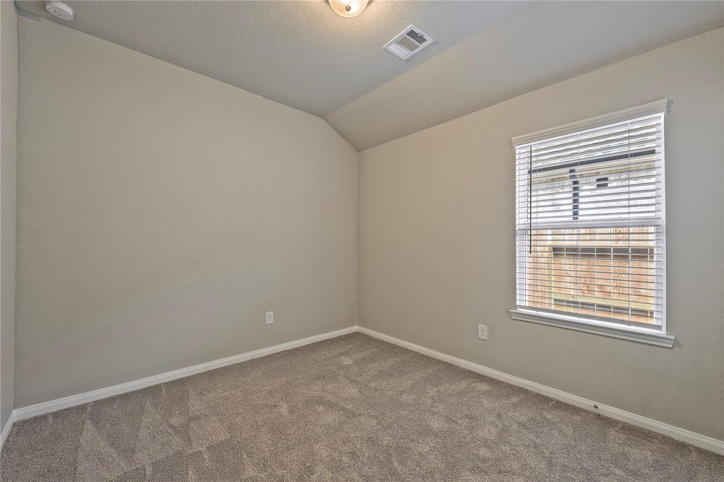 17502 Rosette Grass Drive - Photo 13