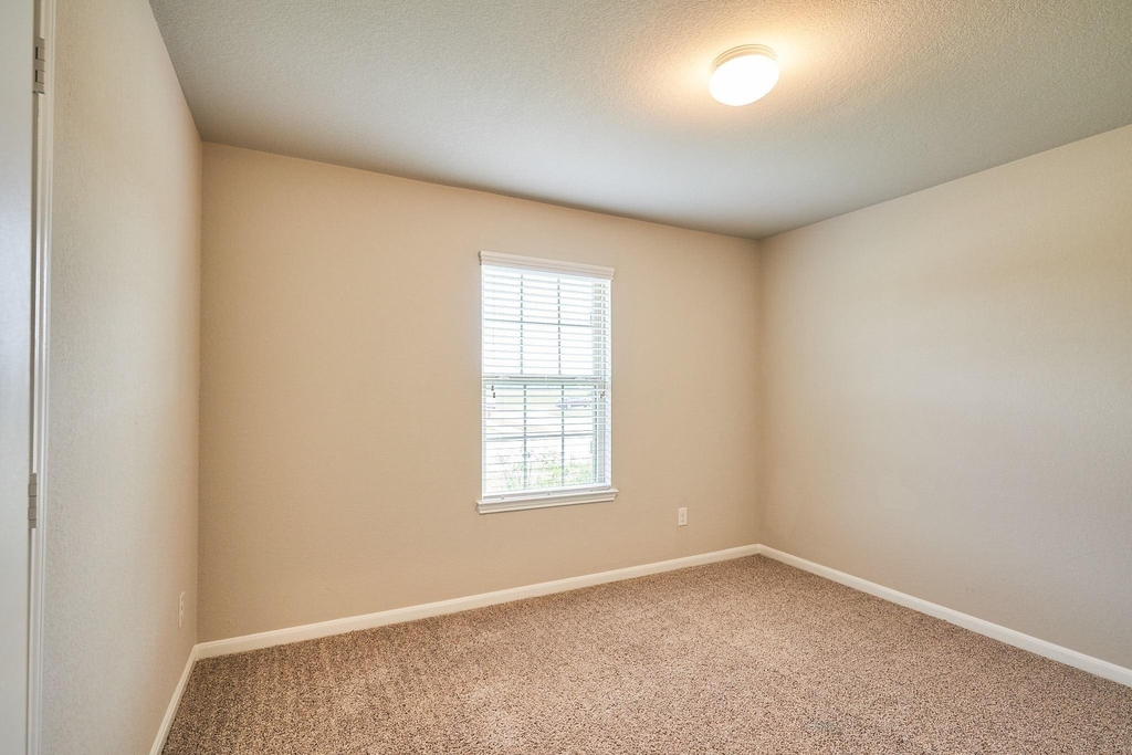 29503 Patricias Way - Photo 23