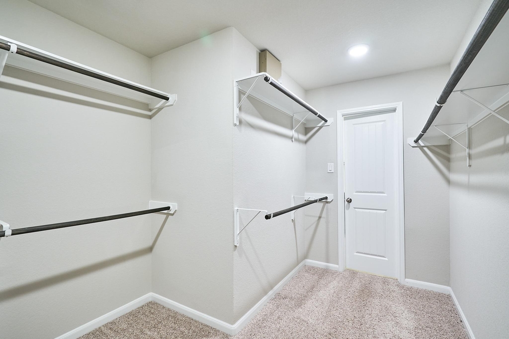 29503 Patricias Way - Photo 11