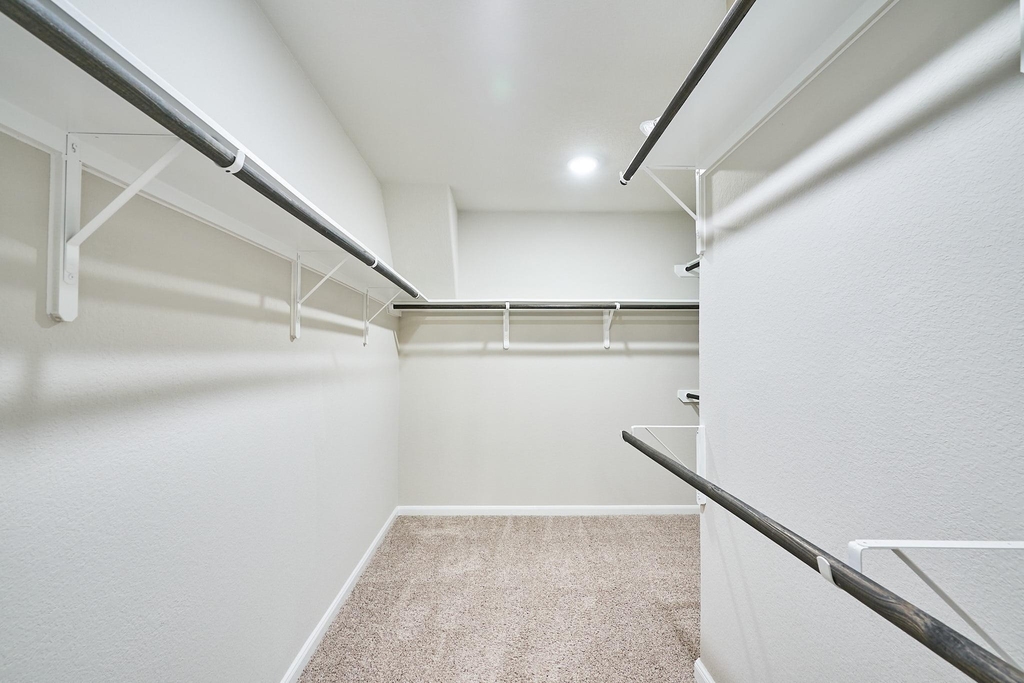29503 Patricias Way - Photo 21