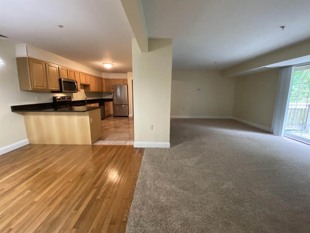 99 Mammoth - Photo 10