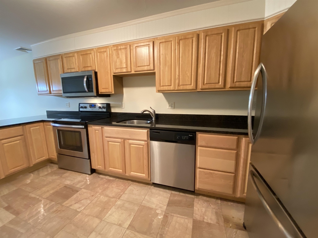 99 Mammoth - Photo 14