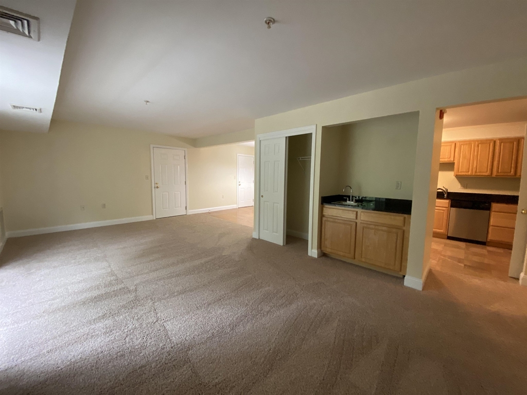99 Mammoth - Photo 32