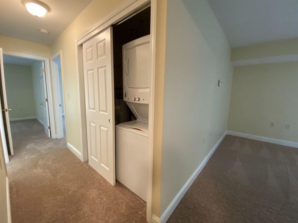 99 Mammoth - Photo 22