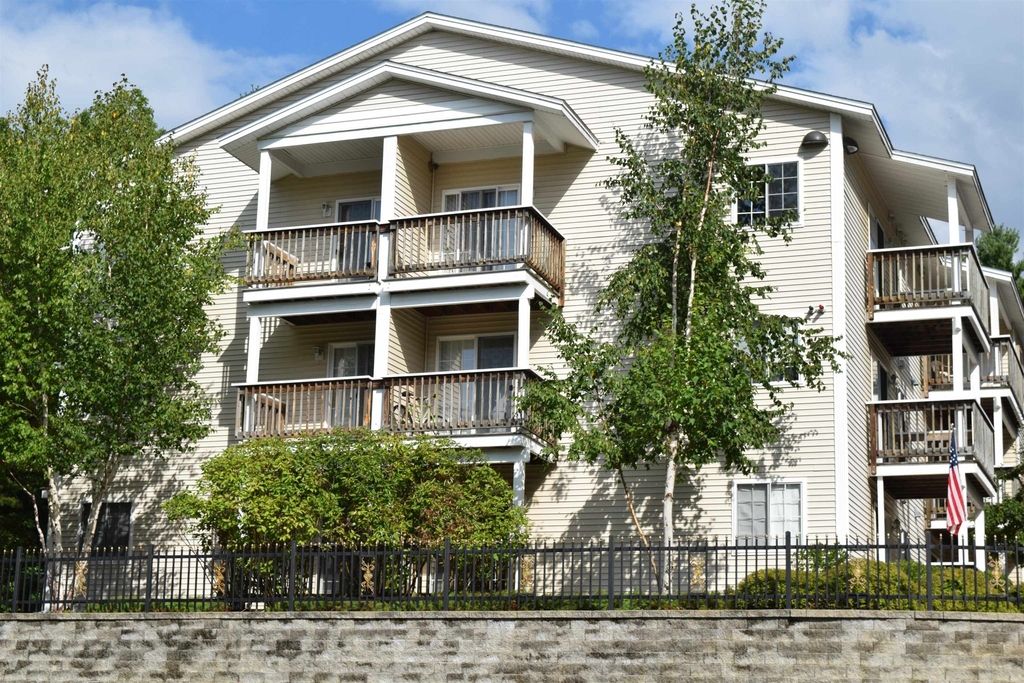 99 Mammoth - Photo 2