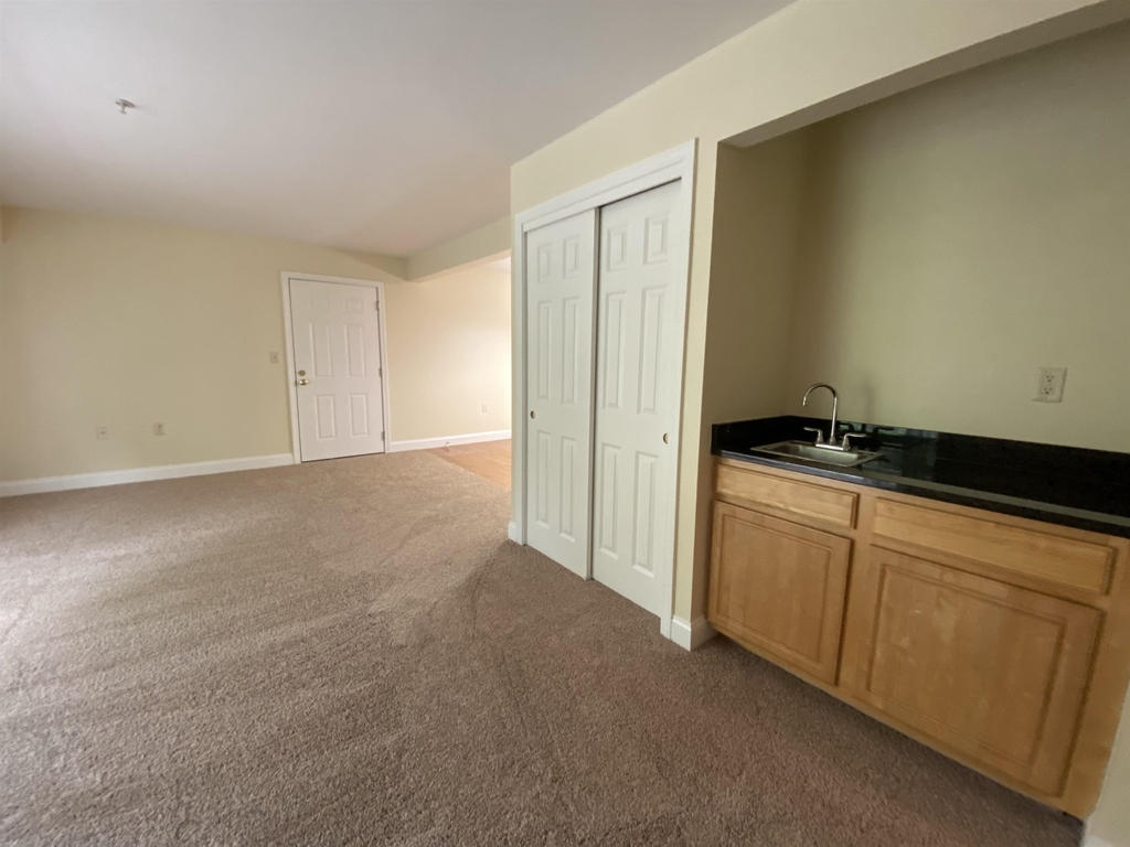 99 Mammoth - Photo 19