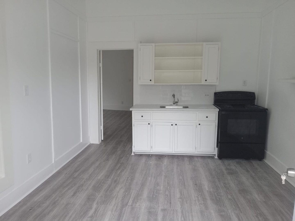690 Avenue E - Photo 2