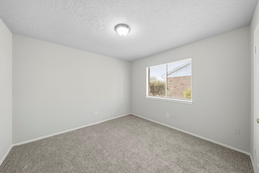 8418 Lone Quail Drive - Photo 4