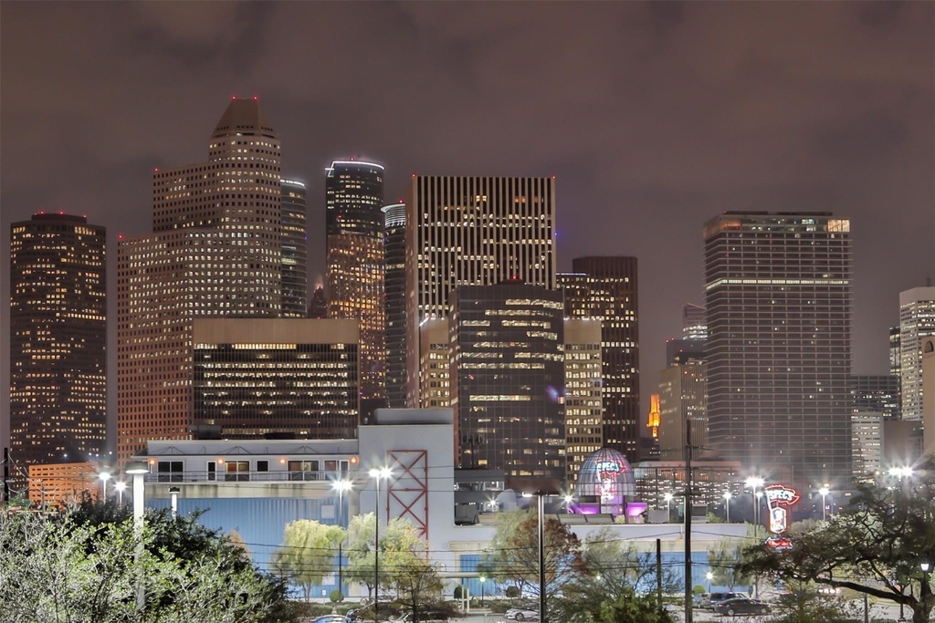 400 Mcgowen Street - Photo 7