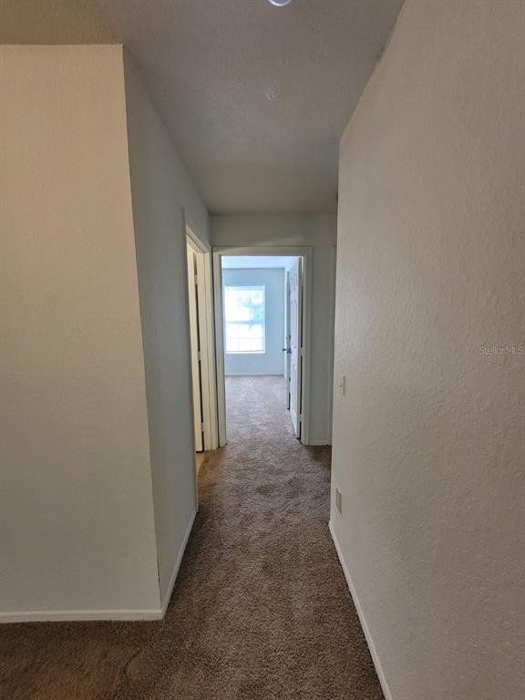 36106 Lake Chase Boulevard - Photo 21