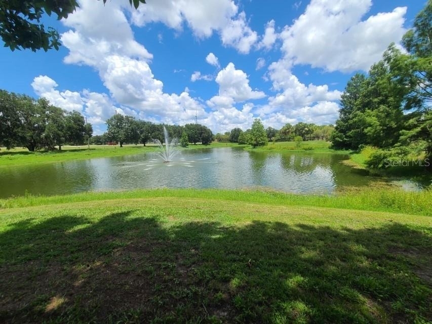36106 Lake Chase Boulevard - Photo 38