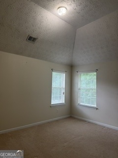 9423 Flowering Trail - Photo 13