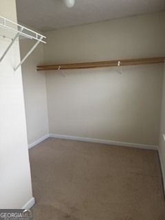 9423 Flowering Trail - Photo 10