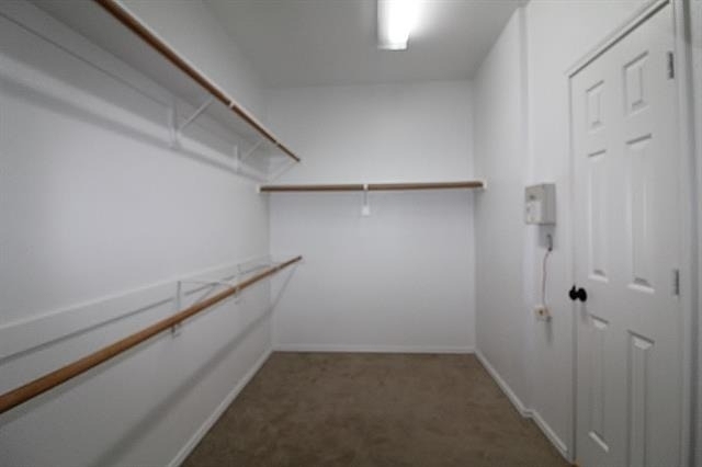 10125 Sourwood Drive - Photo 12
