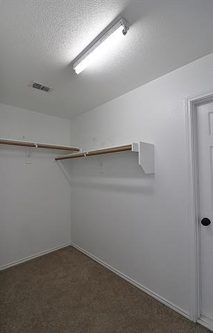 10125 Sourwood Drive - Photo 14