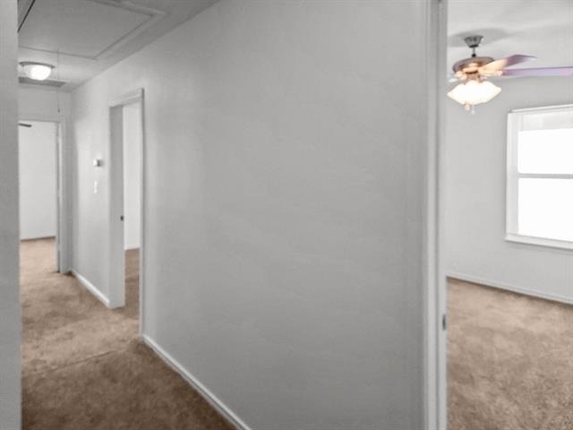 821 E College Avenue - Photo 17
