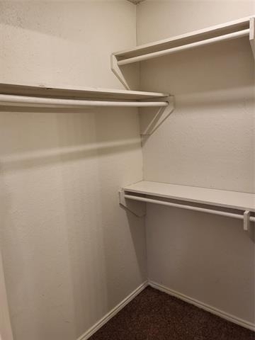 4200 Pyracantha Drive - Photo 15