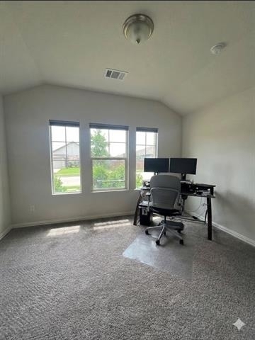 6304 Dry Gulch Trail - Photo 14