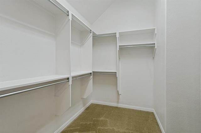 531 Catherine Lane - Photo 12