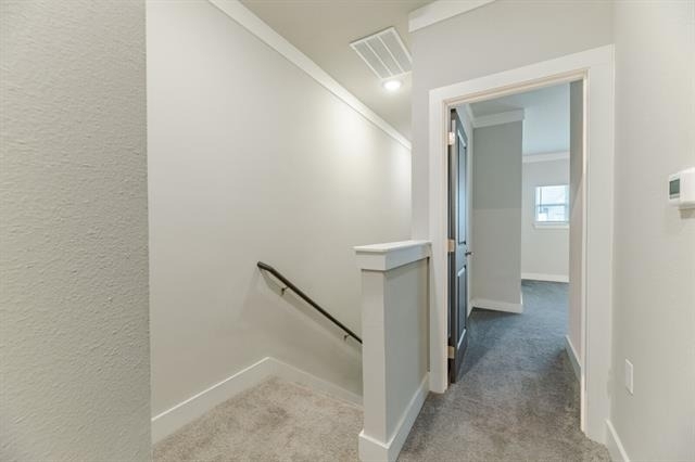 3353 Norris Street - Photo 18