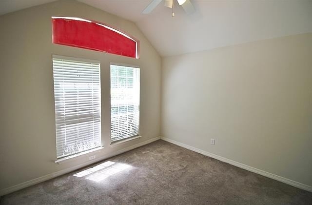 809 Foxwood Lane - Photo 21