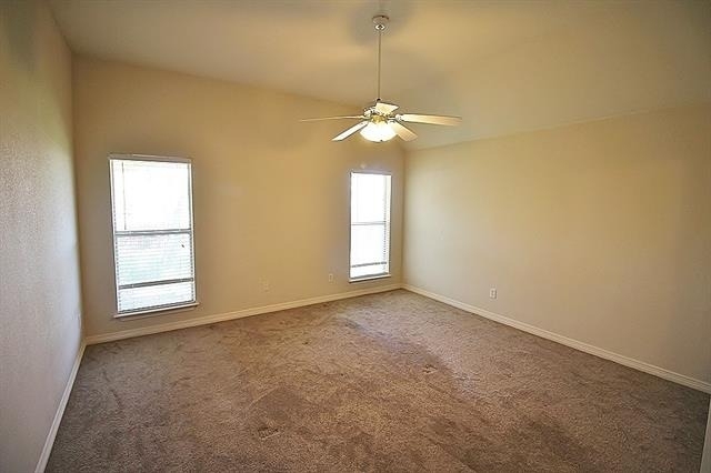 809 Foxwood Lane - Photo 14