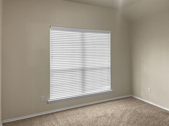 10209 Pear Valley Road - Photo 17