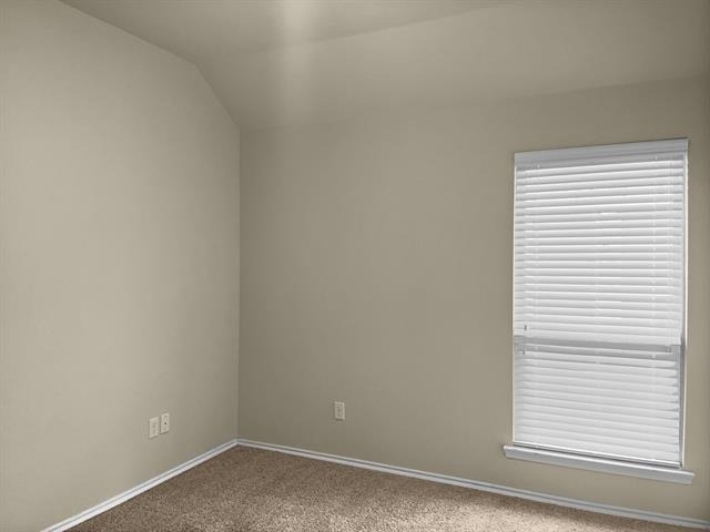 10209 Pear Valley Road - Photo 18