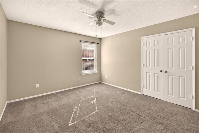 8704 Swan Park Drive - Photo 15