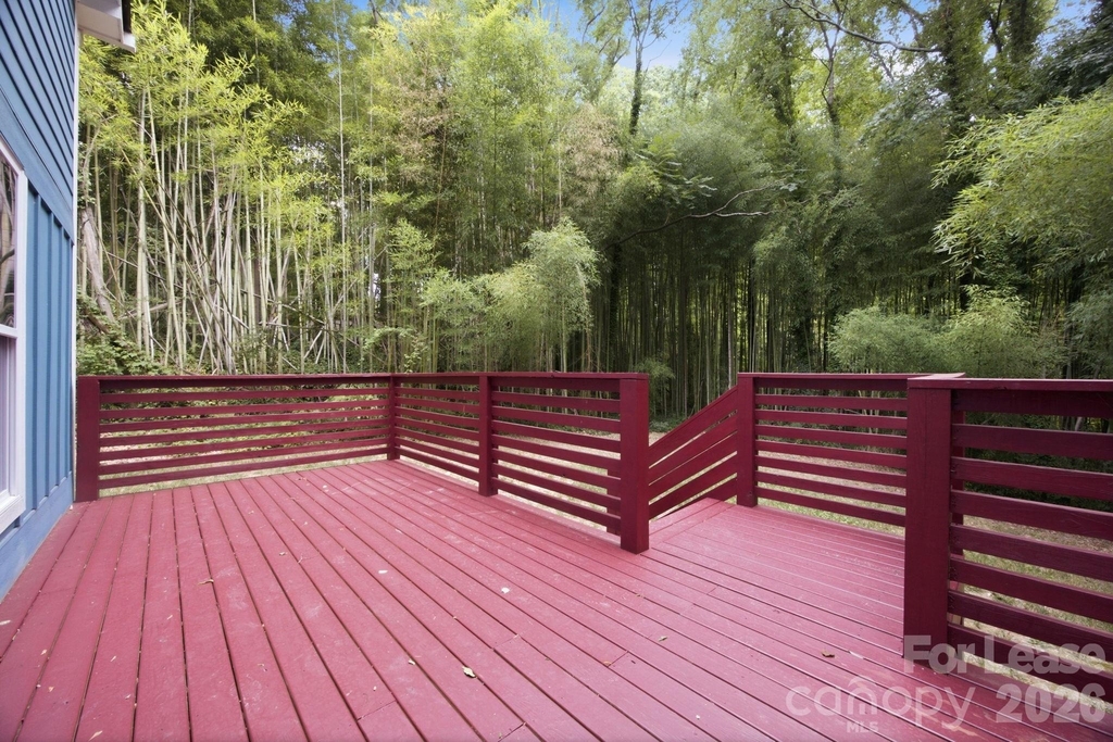 1198 Chronicle Avenue - Photo 24