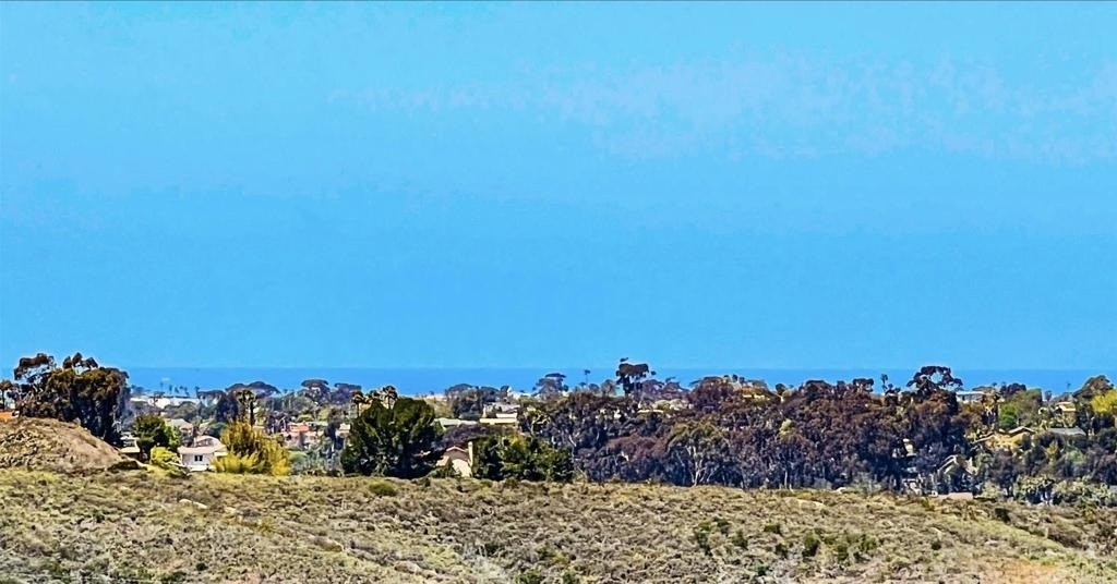 3111 Skyline - Photo 6