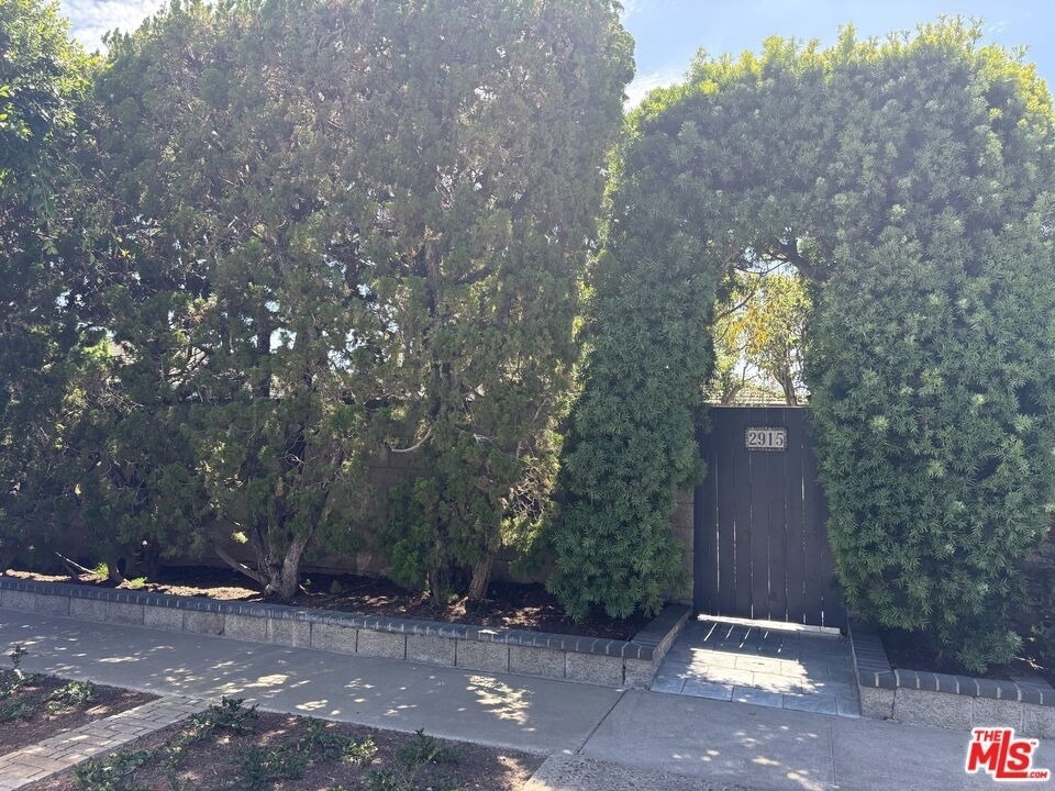 2915 Setting Sun Drive - Photo 6