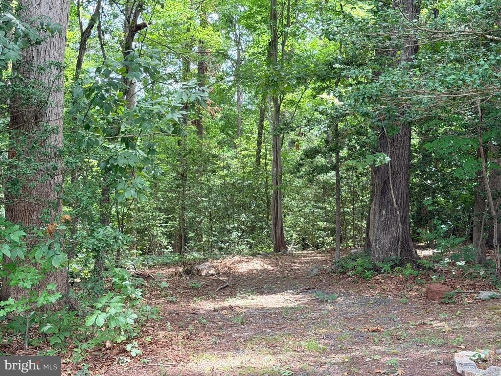 278 Richland Road - Photo 1