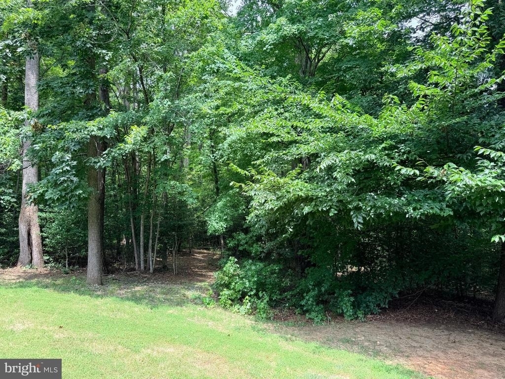 278 Richland Road - Photo 3
